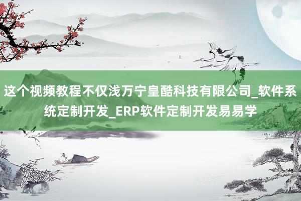 这个视频教程不仅浅万宁皇酷科技有限公司_软件系统定制开发_ERP软件定制开发易易学