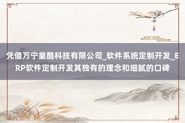凭借万宁皇酷科技有限公司_软件系统定制开发_ERP软件定制开发其独有的理念和细腻的口碑
